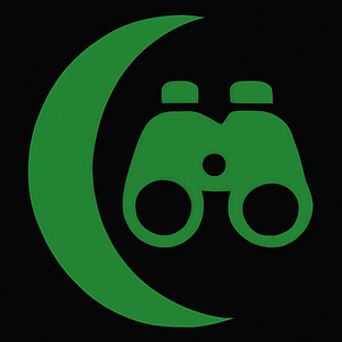 All Night Vision