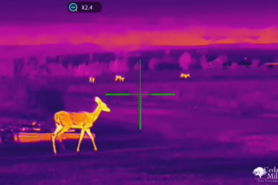 Xvision Scopes: Pro Tips for Serious Hunters